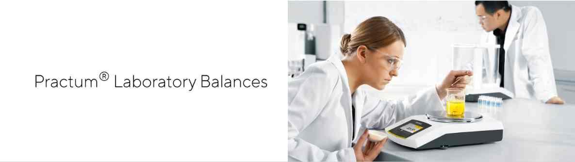 Sartorius Practum 1102 cover